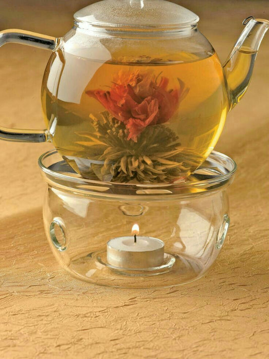 Glass Teapot and Tealight Candle Warmer | Foxy Tea Shop